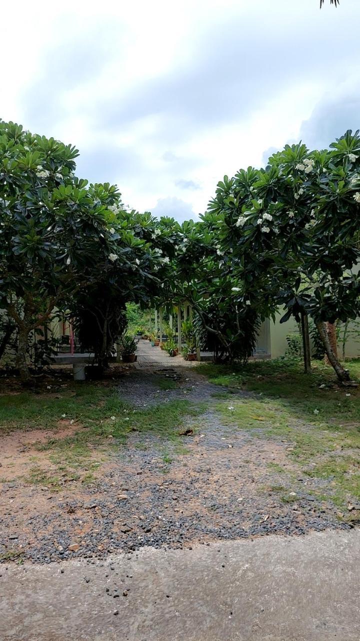 U53/37 * Ko Samui